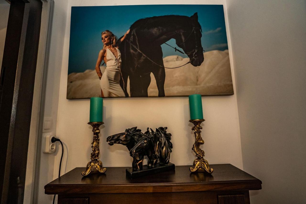 Hotel Casa Del Flor Costinesti Zewnętrze zdjęcie